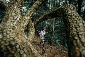 BIB: 
                            <button type="button" onclick="openModal(25703180)" class="btn btn-primary btn-sm float-right btn-popup" data-toggle="modal" data-target=".modal-high-quality">
                        <i class="fas fa-shopping-cart"></i> Add to Cart
                    </button>
                                            <button type="button" onclick="isThisMe(25703180, true)" class="btn btn-success btn-sm float-right btn-popup btn-isme hidden" data-toggle="tooltip" data-placement="bottom" title="นี่คือรูปของคุณใช่ไหม คลิกที่นี่เพื่อเอาเข้าอัลบั้ม">
                        <i class="fas fa-plus"></i> Add to album
                    </button>
                    <button type="button" onclick="isThisMe(25703180, false)" class="btn btn-warning btn-sm float-right btn-popup btn-isnotme hidden">
                        <i class="fas fa-ban"></i> Remove from album
                    </button>